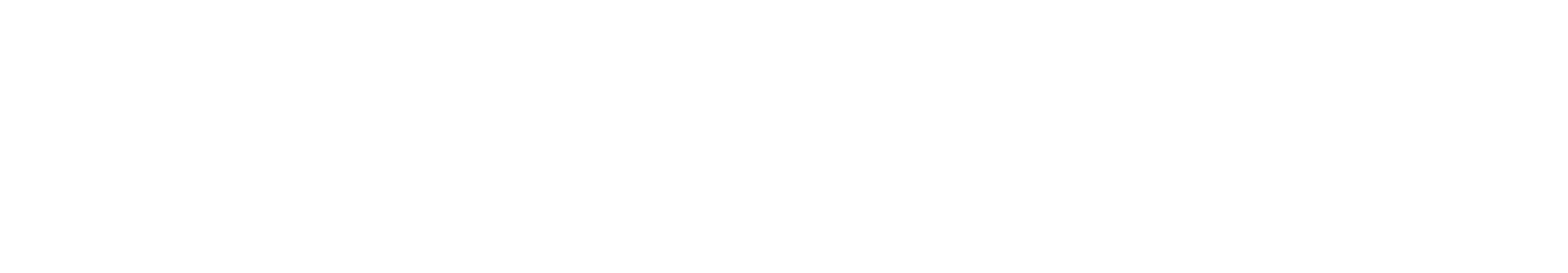 Planet S.r.l.