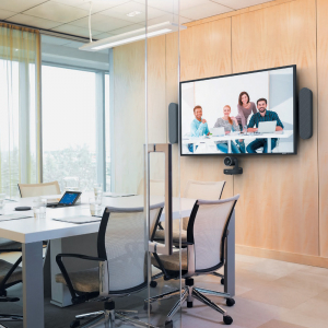 video conference logitech